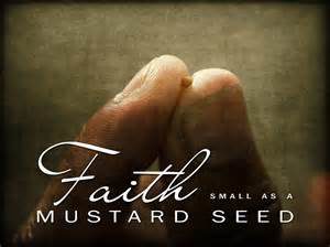 mustard-seed